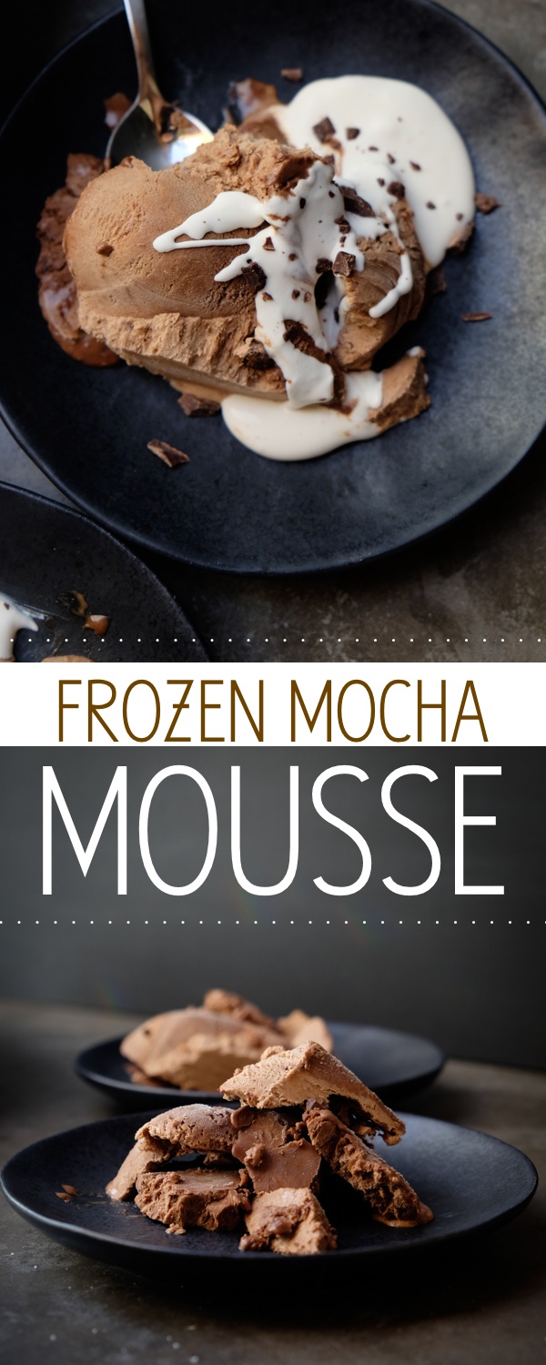 Frozen Mocha Mousse is an AMAZING frozen treat. No ice cream maker needed! Find the recipe on Shutterbean.com