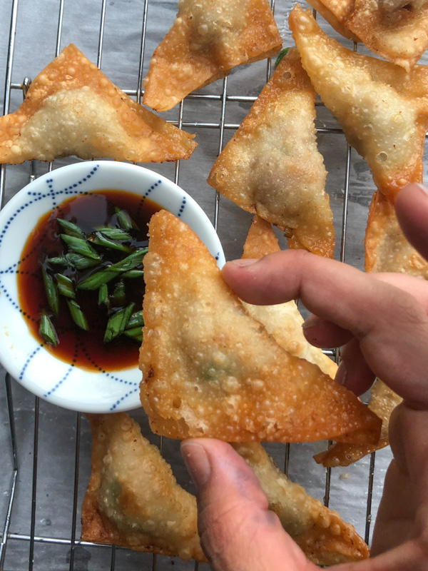 Forget takeout! Make Pork Scallion Wontons at home. They're so easy! Find the recipe at Shutterbean.com