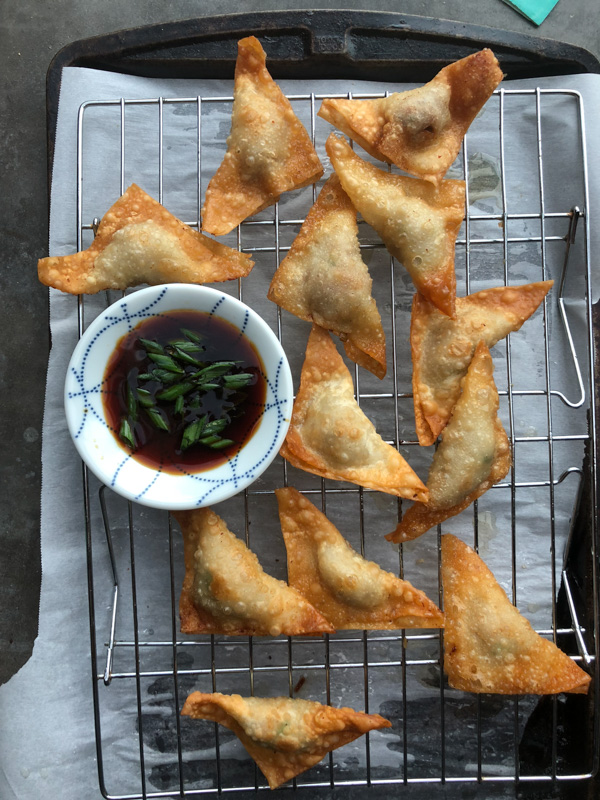 Forget takeout! Make Pork Scallion Wontons at home. They're so easy! Find the recipe at Shutterbean.com