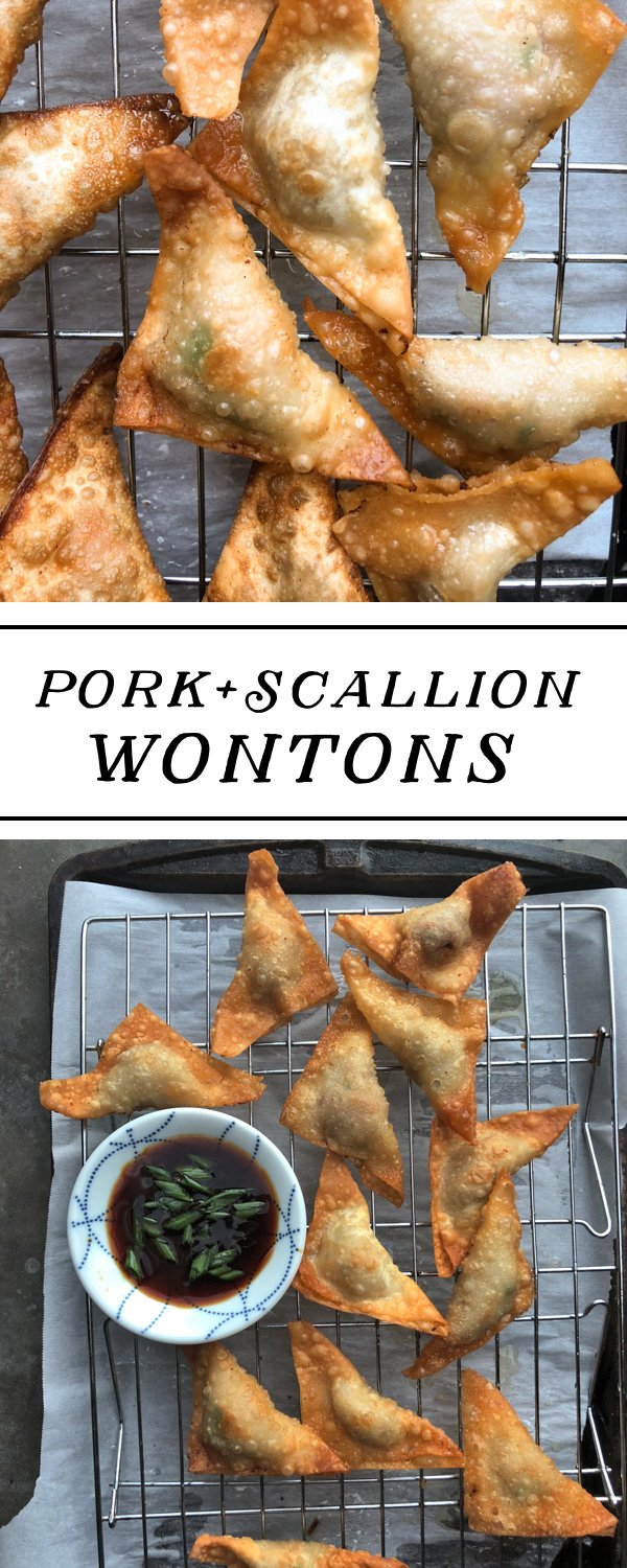 Forget takeout! Make Pork Scallion Wontons at home. They're so easy! Find the recipe at Shutterbean.com