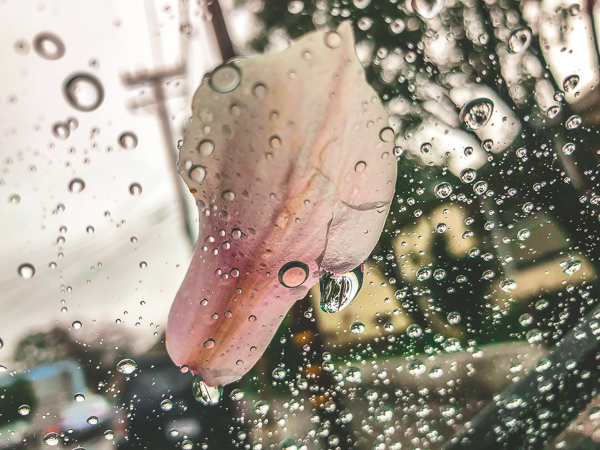 My Everyday Life: Week 9 on Shutterbean.com