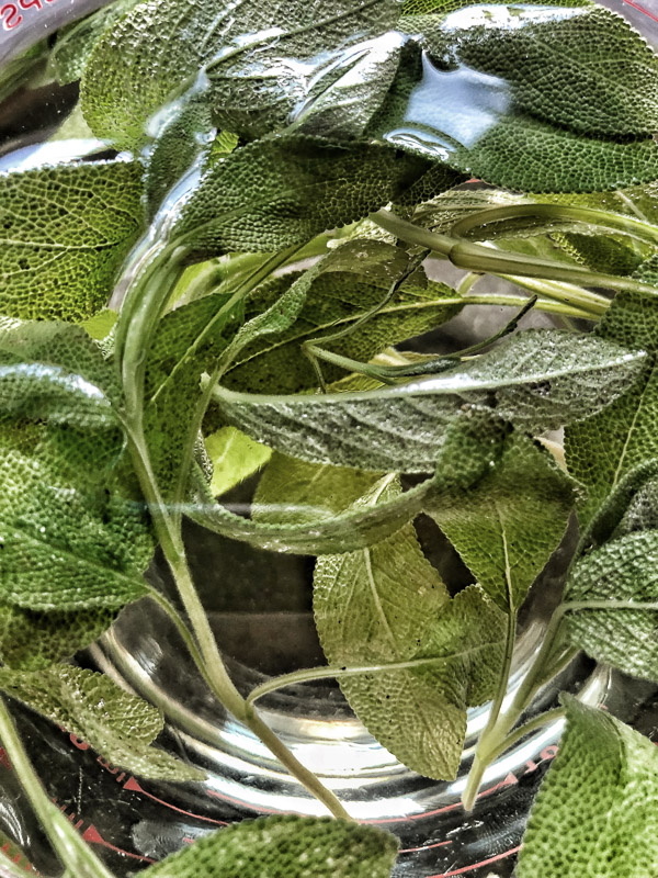 Bourbon Sage Cooler- a refreshing cocktail with just the right amount of sweetness. Find the recipe on Shutterbean.com in partnership with Nugget Markets!