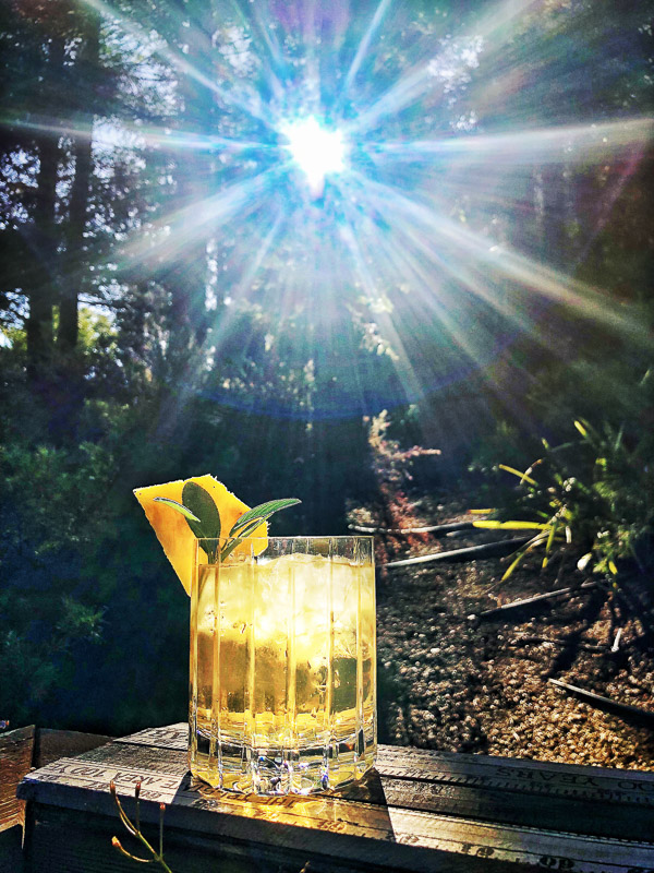 Bourbon Sage Cooler- a refreshing cocktail with just the right amount of sweetness. Find the recipe on Shutterbean.com in partnership with Nugget Markets!