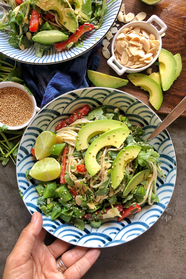 Cold Soba Noodles with tons of vegetables! Perfect for the warmer months when you don't feel like cooking but you want something filling and healthy! Recipe on Shutterbean.com