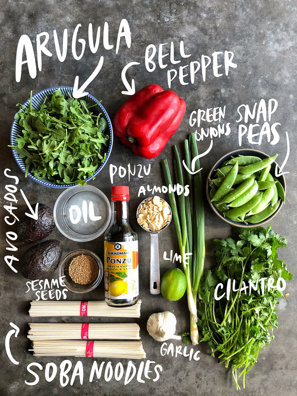 Cold Soba Noodles with tons of vegetables! Perfect for the warmer months when you don't feel like cooking but you want something filling and healthy! Recipe on Shutterbean.com