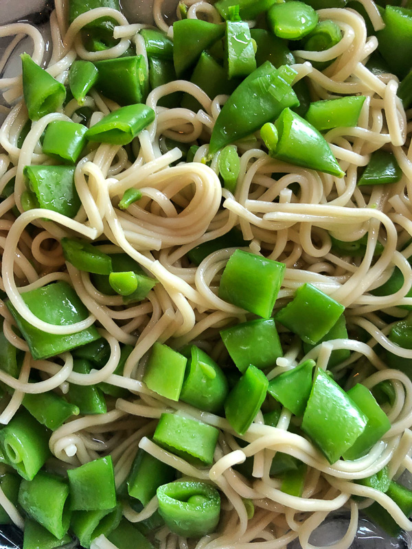 Cold Soba Noodles with tons of vegetables! Perfect for the warmer months when you don't feel like cooking but you want something filling and healthy! Recipe on Shutterbean.com