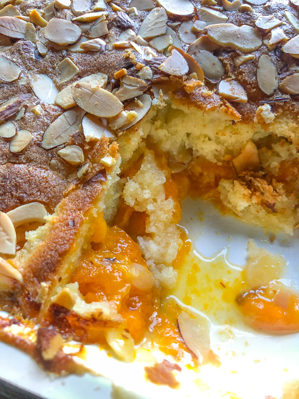 Apricot Almond Cake for summer parties! Find the recipe on Shutterbean.com