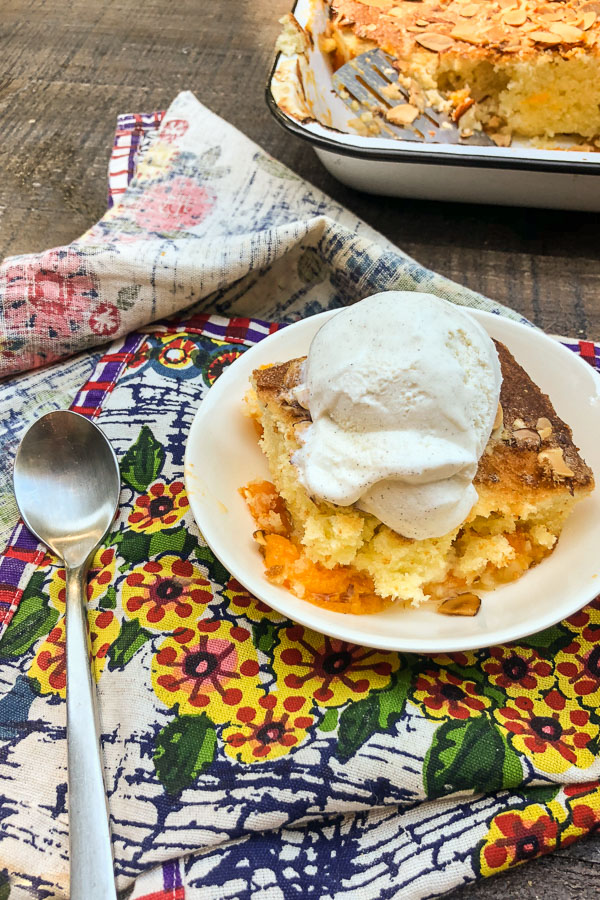 Apricot Almond Cake for summer parties! Find the recipe on Shutterbean.com