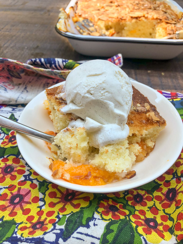 Apricot Almond Cake for summer parties! Find the recipe on Shutterbean.com