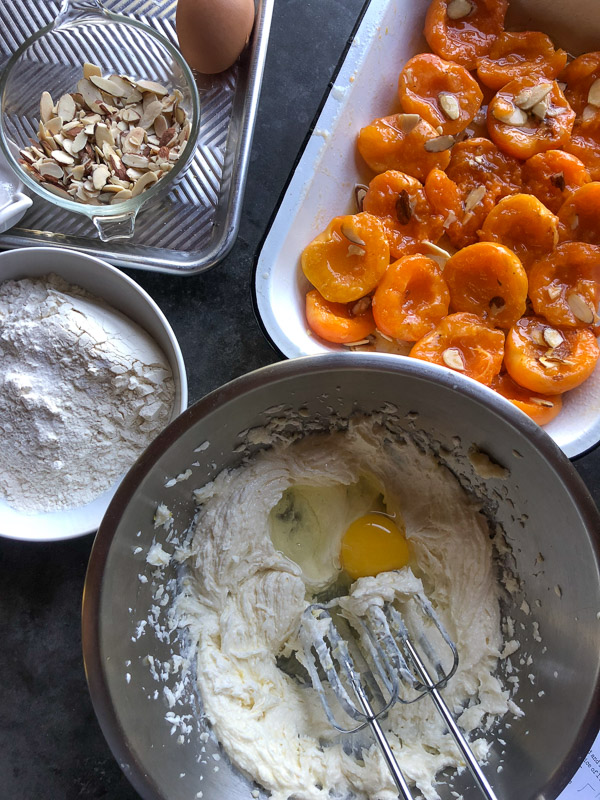 Apricot Almond Cake for summer parties! Find the recipe on Shutterbean.com