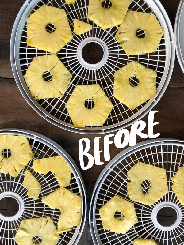 Ever wanted to Make Your Own Homemade Dried Fruit? Tracy from Shutterbean shows you how!