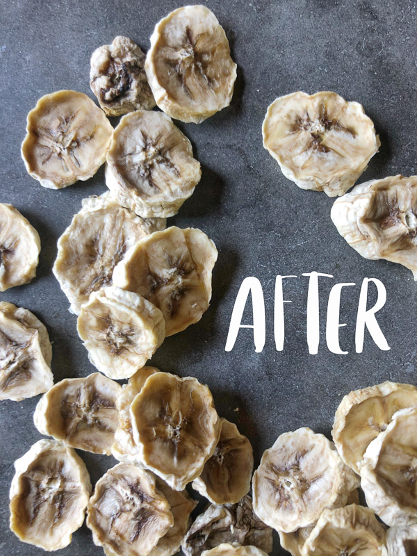 Ever wanted to Make Your Own Homemade Dried Fruit? Tracy from Shutterbean shows you how!