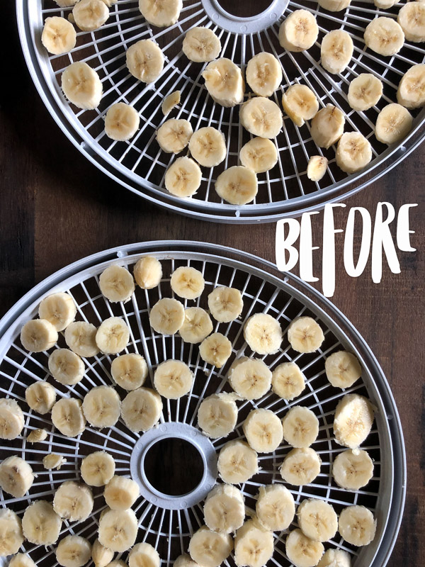 Ever wanted to Make Your Own Homemade Dried Fruit? Tracy from Shutterbean shows you how!