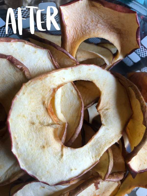 Ever wanted to Make Your Own Homemade Dried Fruit? Tracy from Shutterbean shows you how!