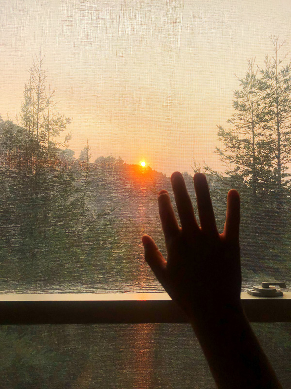 My Everyday Life: Week 46