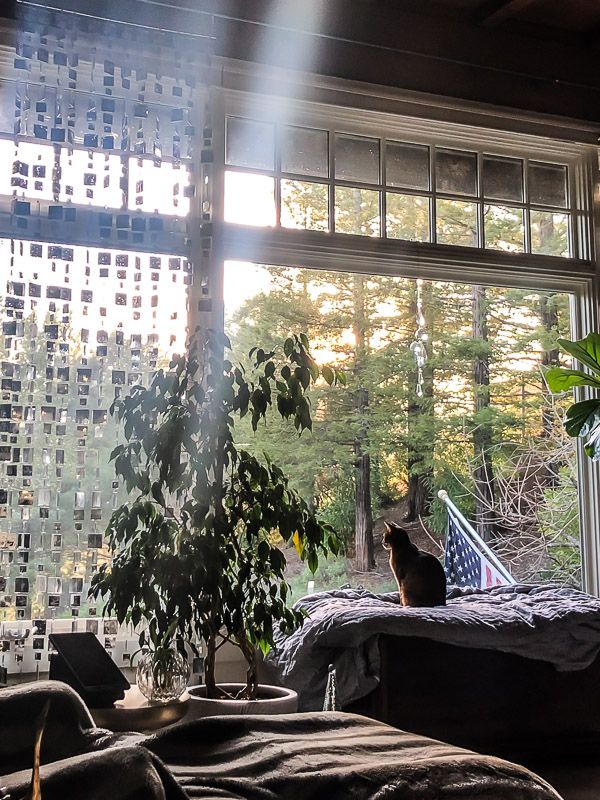 My Everyday Life: Week 4 on Shutterbean.com