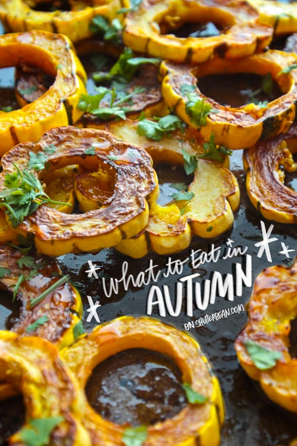 Favorite Autumn Recipes