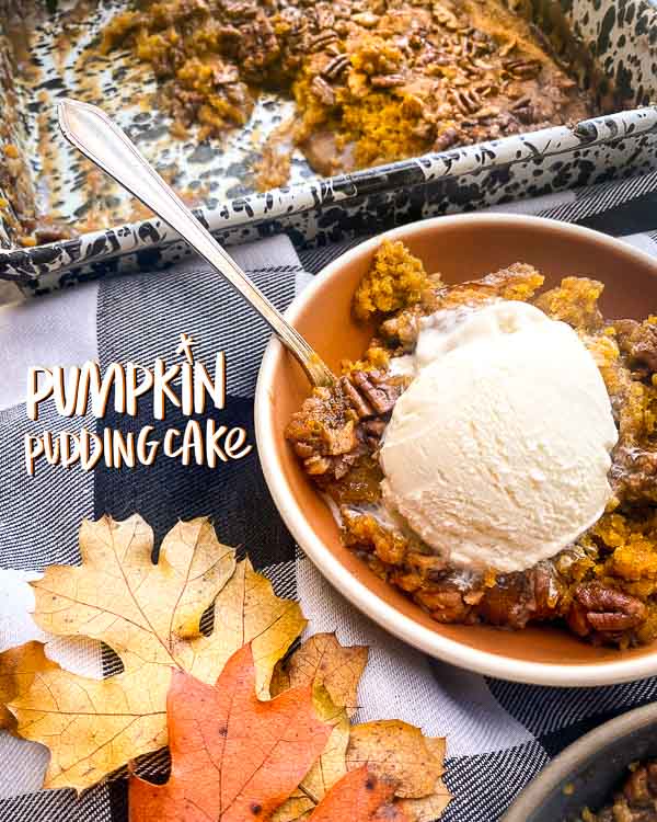 Pumpkin Pudding Cake