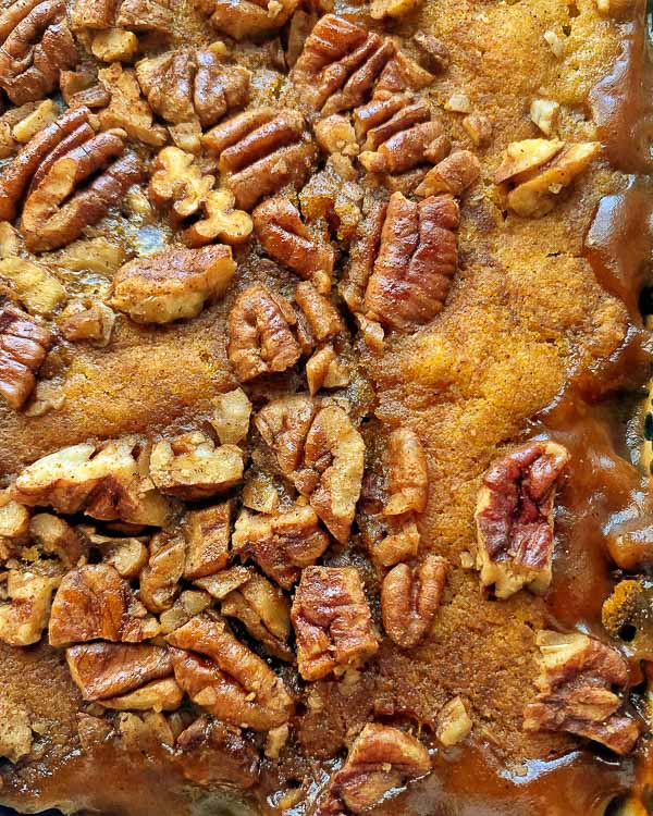 Pumpkin Pudding Cake - Shutterbean