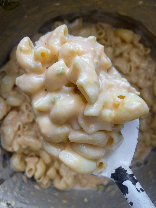 Instant Pot Jalapeno Mac & Cheese