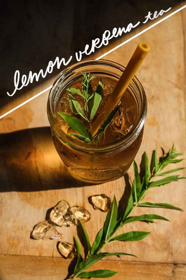 Lemon Verbena Tea 