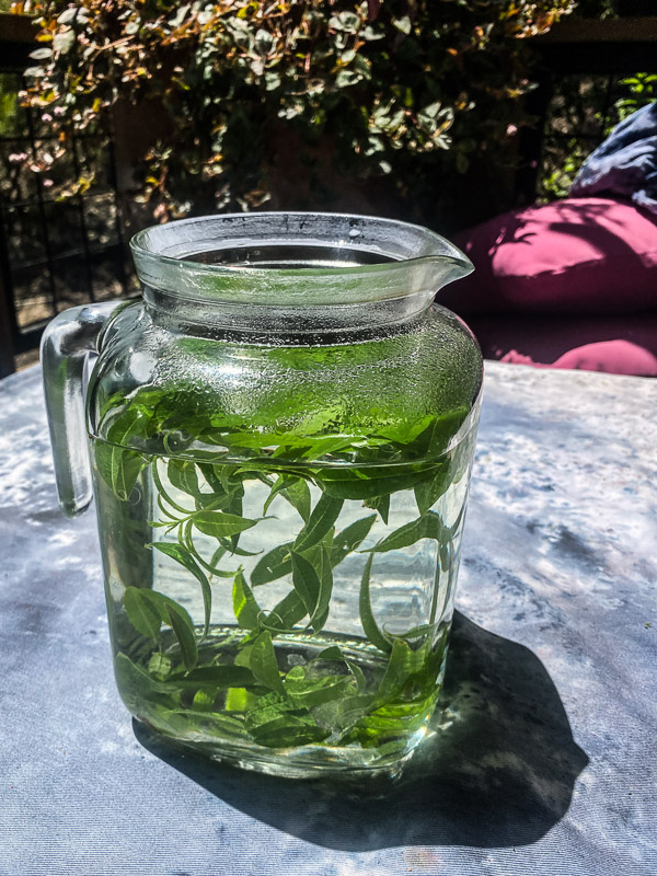 Lemon Verbena Tea 