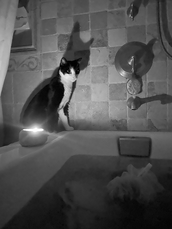 My Everyday Life Week 47 of 2021- a photography series by Tracy Benjamin of Shutterbean.com
