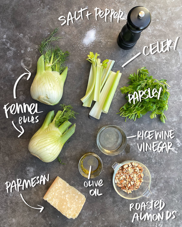 Fennel Celery Salad is a great salad for your meal prep. This crunchy salad holds up for days. Find the recipe on Shutterbean.com