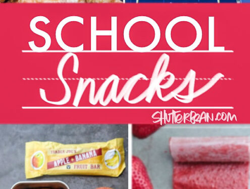 Need some Back to School Snack ideas? Tracy from Shutterbean has you covered!