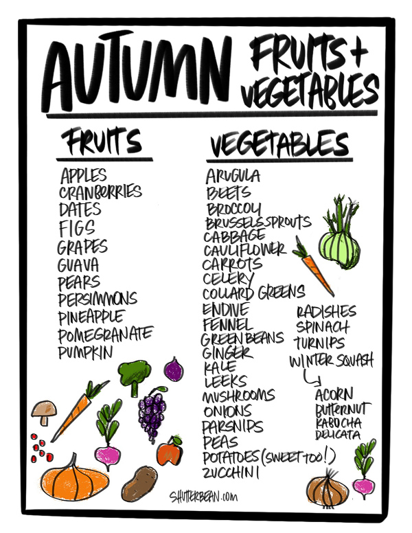Autumn Fruits & Vegetables - roundup and artwork by Tracy Benjamin of Shutterbean.com