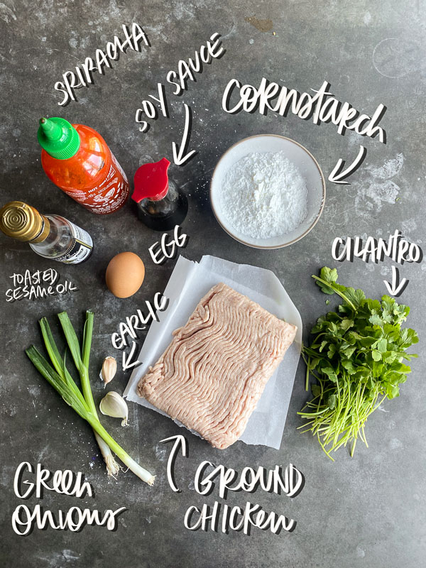 Spice up your weeknight with Chicken Cilantro Meatballs. They're great prepped ahead for soup, noodles & salads. Find the recipe on Shutterbean.com 