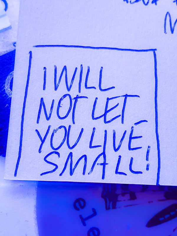 I will not let you live small! // I love lists Tracy Benjamin of the Handwriting Club
