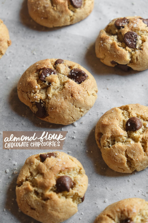 Almond Flour Chocolate Chip Cookies are gluten free, made with olive oil and dairy free! Find the recipe on shutterbean.com