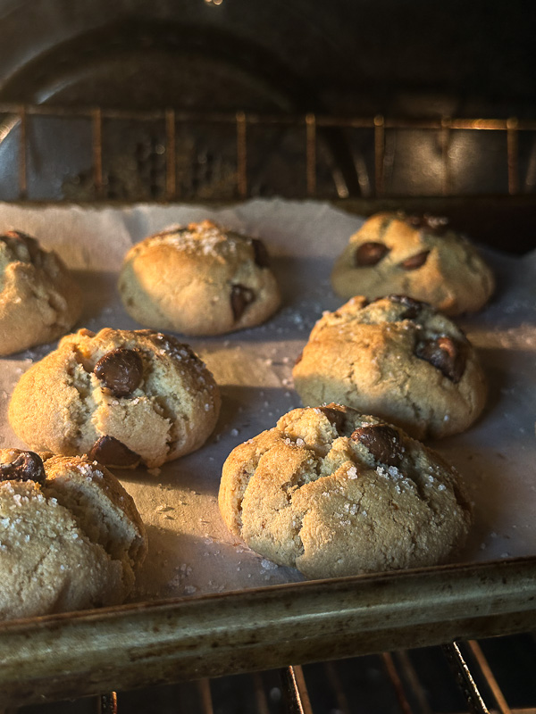 Almond Flour Chocolate Chip Cookies are gluten free, made with olive oil and dairy free! Find the recipe on shutterbean.com