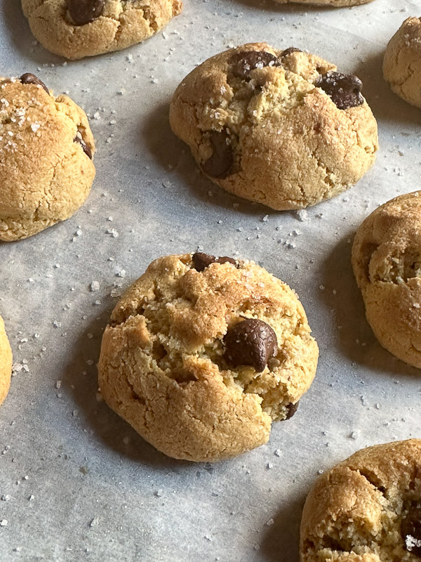 Almond Flour Chocolate Chip Cookies are gluten free, made with olive oil and dairy free! Find the recipe on shutterbean.com