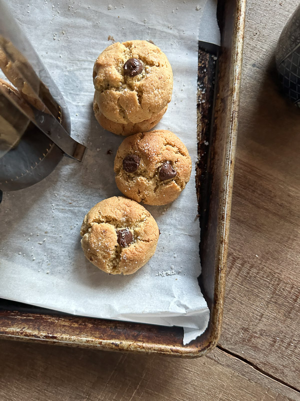 Almond Flour Chocolate Chip Cookies are gluten free, made with olive oil and dairy free! Find the recipe on shutterbean.com