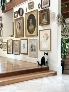 Blog - Shutterbean