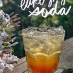 You can make Earl Grey Soda with a sweet tea & sparkling water! Find the recipe at Shutterbean.com!