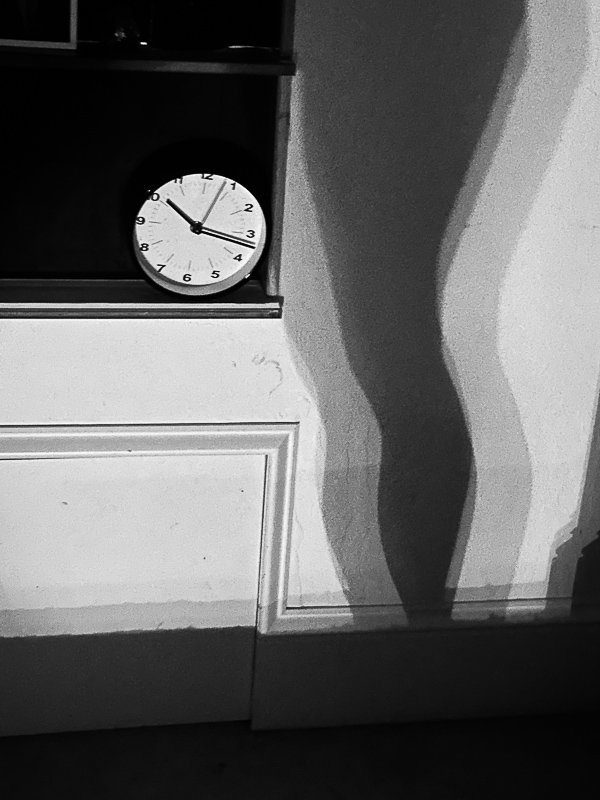 My Everyday Life Week 22 of 2024- Tracy Benjamin of Shutterbean.com