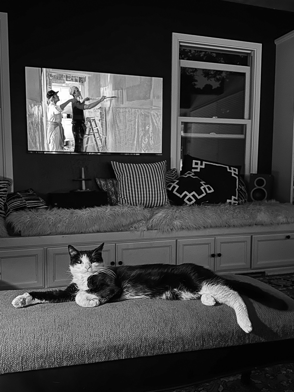 My Everyday Life Week 22 of 2024- Tracy Benjamin of Shutterbean.com