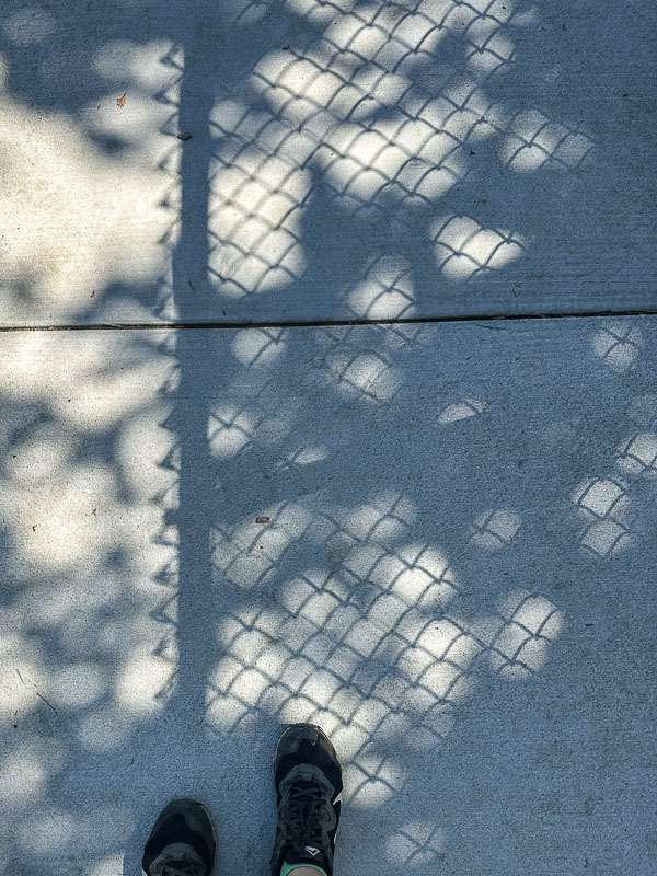 My Everyday Life Week 25 of 2024- Tracy Benjamin of Shutterbean.com