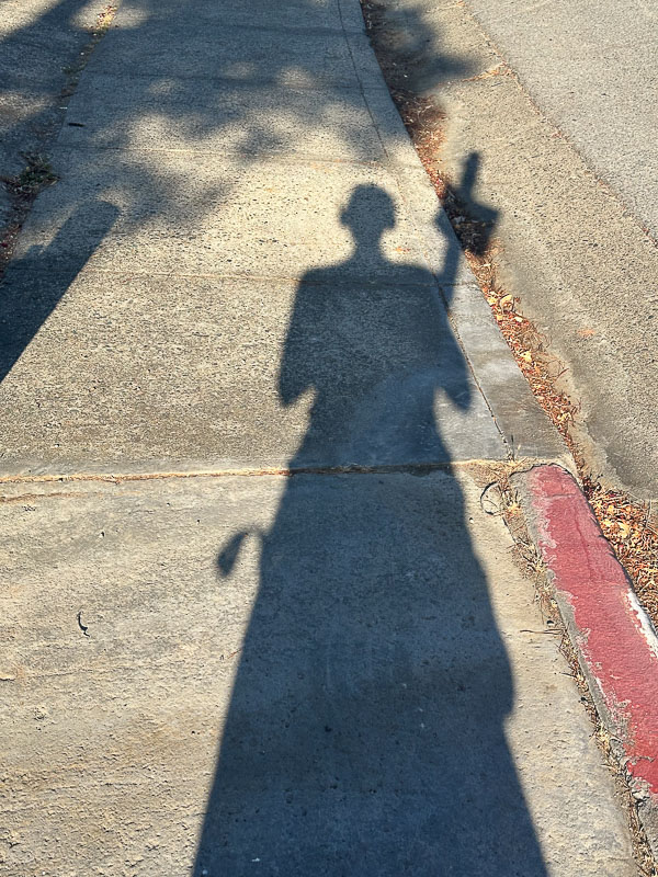 My Everyday Life Week 25 of 2024- Tracy Benjamin of Shutterbean.com