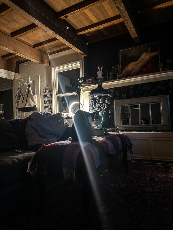 My Everyday Life Week 28 of 2024- Tracy Benjamin of Shutterbean.com