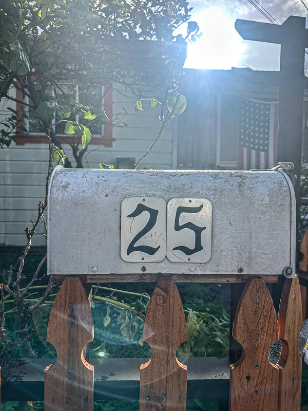 My Everyday Life Week 52 of 2024- Tracy Benjamin of Shutterbean.com