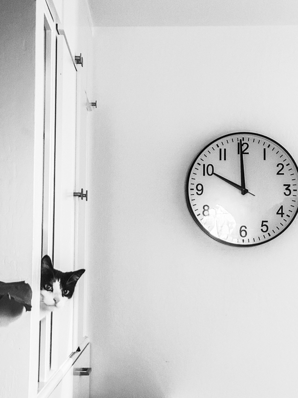 My Everyday Life Week 19 of 2025- Tracy Benjamin of Shutterbean.com