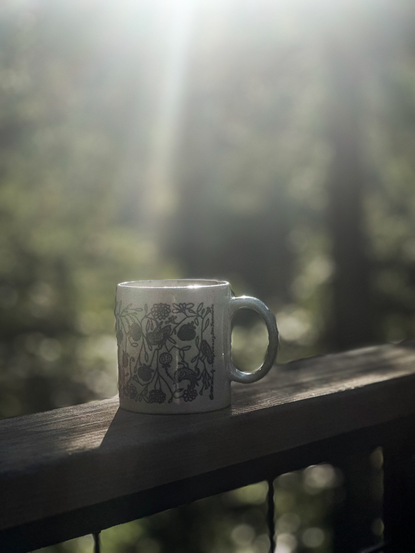 My Everyday Life Week 19 of 2025- Tracy Benjamin of Shutterbean.com