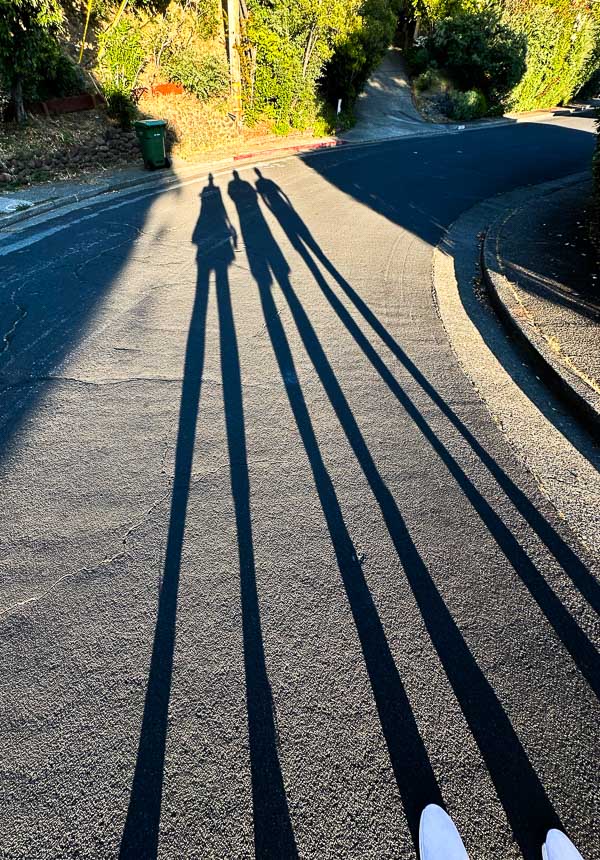My Everyday Life Week 19 of 2025- Tracy Benjamin of Shutterbean.com