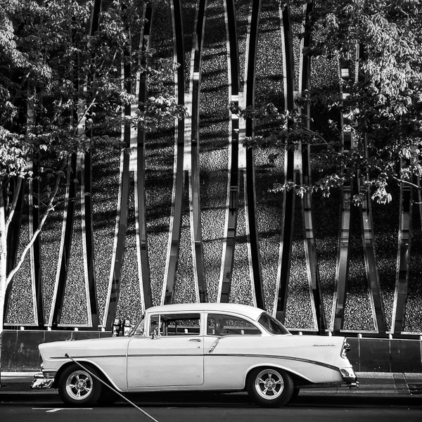 My Everyday Life Week 19 of 2025- Tracy Benjamin of Shutterbean.com