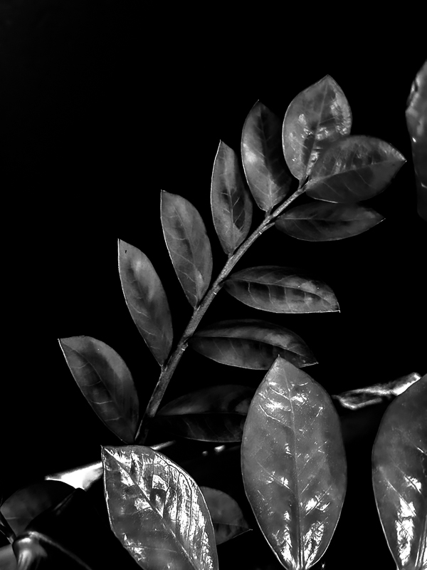 My Everyday Life Week 20 of 2025- Tracy Benjamin of Shutterbean.com