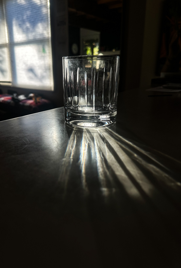 My Everyday Life Week 24 of 2025- Tracy Benjamin of Shutterbean.com